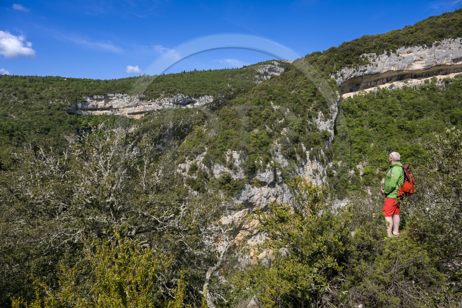 France, Vaucluse (84), Parc naturel régional du Mont Ventoux, Monieux, Gorges de La Nesque, randonneurs sur les hauteurs face au barres rocheuses
