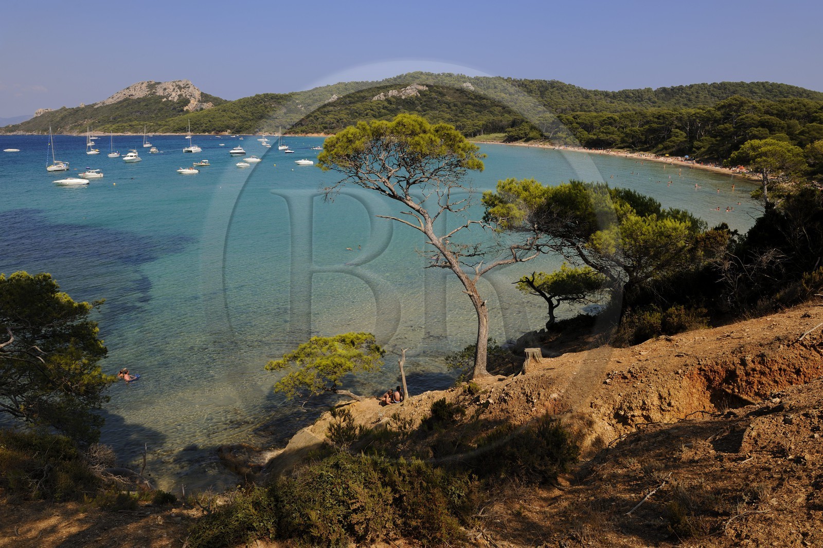 France, Var (83), Iles d'Hyères, parc national de Port-Cros, île de Porquerolles, la Plage Notre Dame