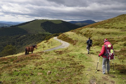 Espagne, Pays-Basque, Navarre, pèlerins sur le chemin de Saint-Jacques de Compostelle au dessus de Roncevaux