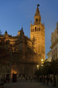 Espagne, Andalousie, Séville, quartier de Santa Cruz, la Giralda, ancien minaret almohade de la Grande Mosquée reconverti en clocher de la cathédrale, classé Patrimoine Mondial de l'UNESCO
