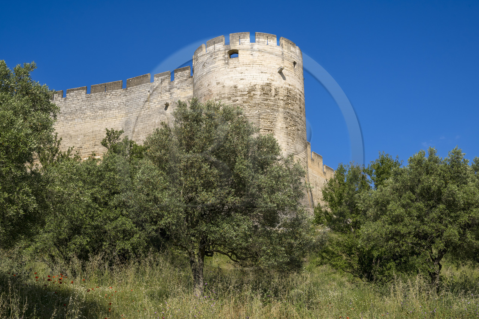 France (30), Gard, Villeneuve-lès-Avignon, Fort Saint André et ses remparts