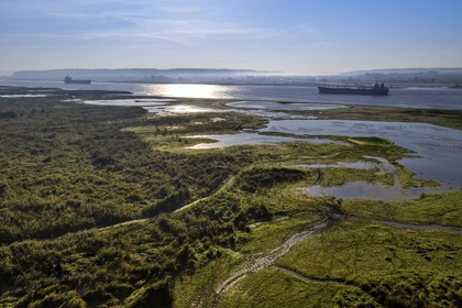 France, Seine-Maritime (76), Réserve Naturelle de l'estuaire de la Seine, cargos sur la Seine (vue aérienne)