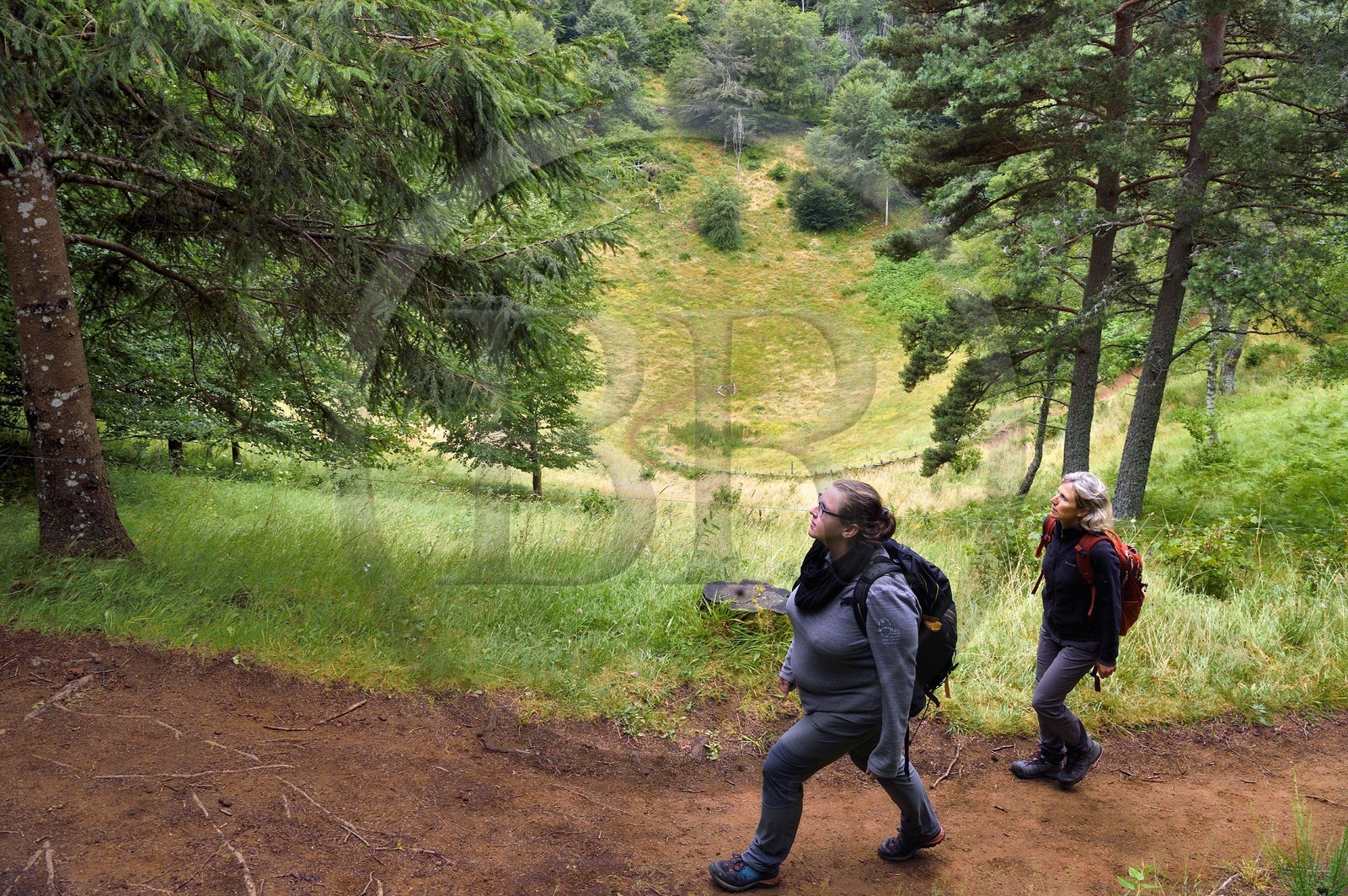 France, Puy-de-Dôme (63), Aydat, sur les pentes du volcan du Puy de Vichatel, Catline Lajoie garde nature au Parc naturel régional des Volcans d'Auvergne sur le parcours Musette nature sentier de Vichatel