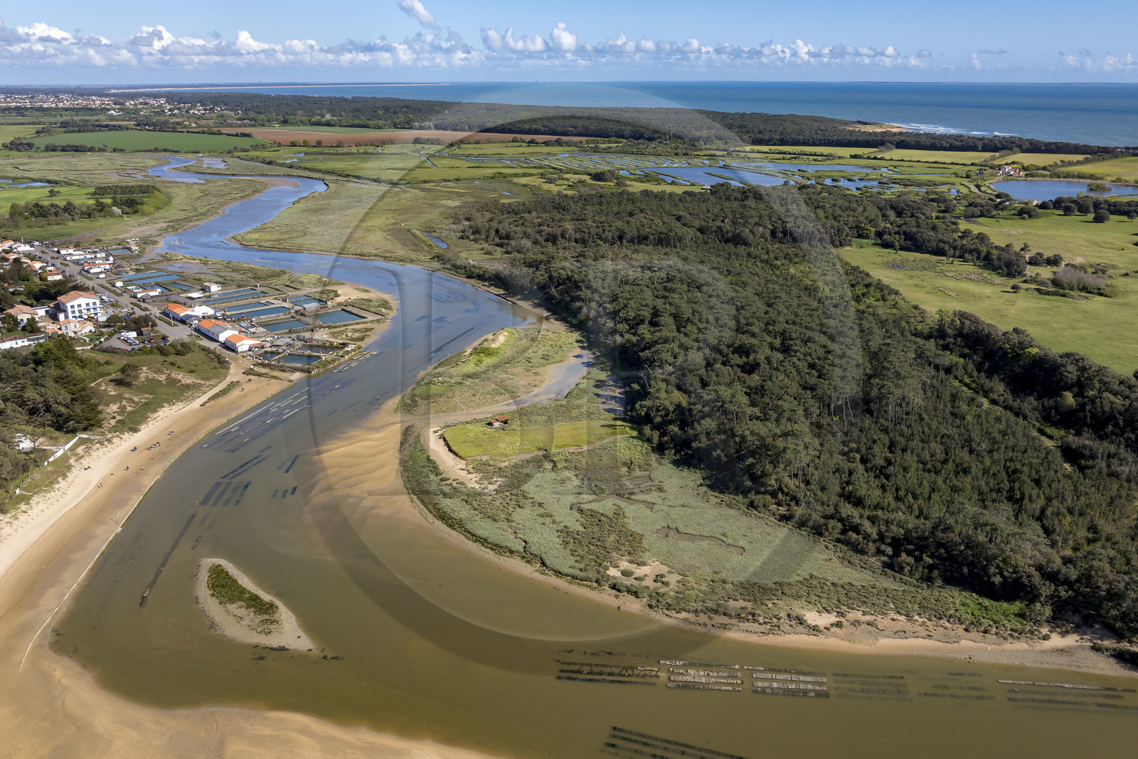 France, Vendée (85), Talmont Saint Hilaire, port of the oyster farming village of La Guittière in the Payré estuary  (aerial view)