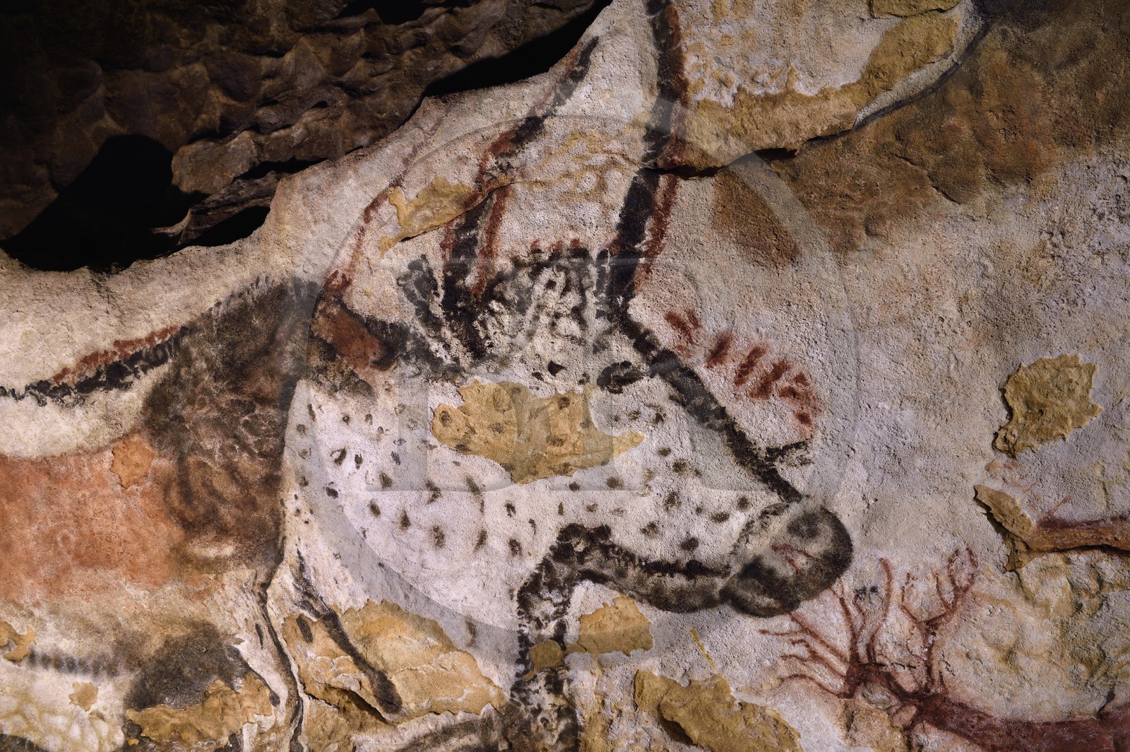 France, Dordogne (24), Périgord Noir, vallée de la Vezère, Montignac-sur-Vézère, Grotte de Lascaux II, reconstitution du site préhistorique et grotte ornée classés Patrimoine Mondial de l'UNESCO, Cheval et Aurochs