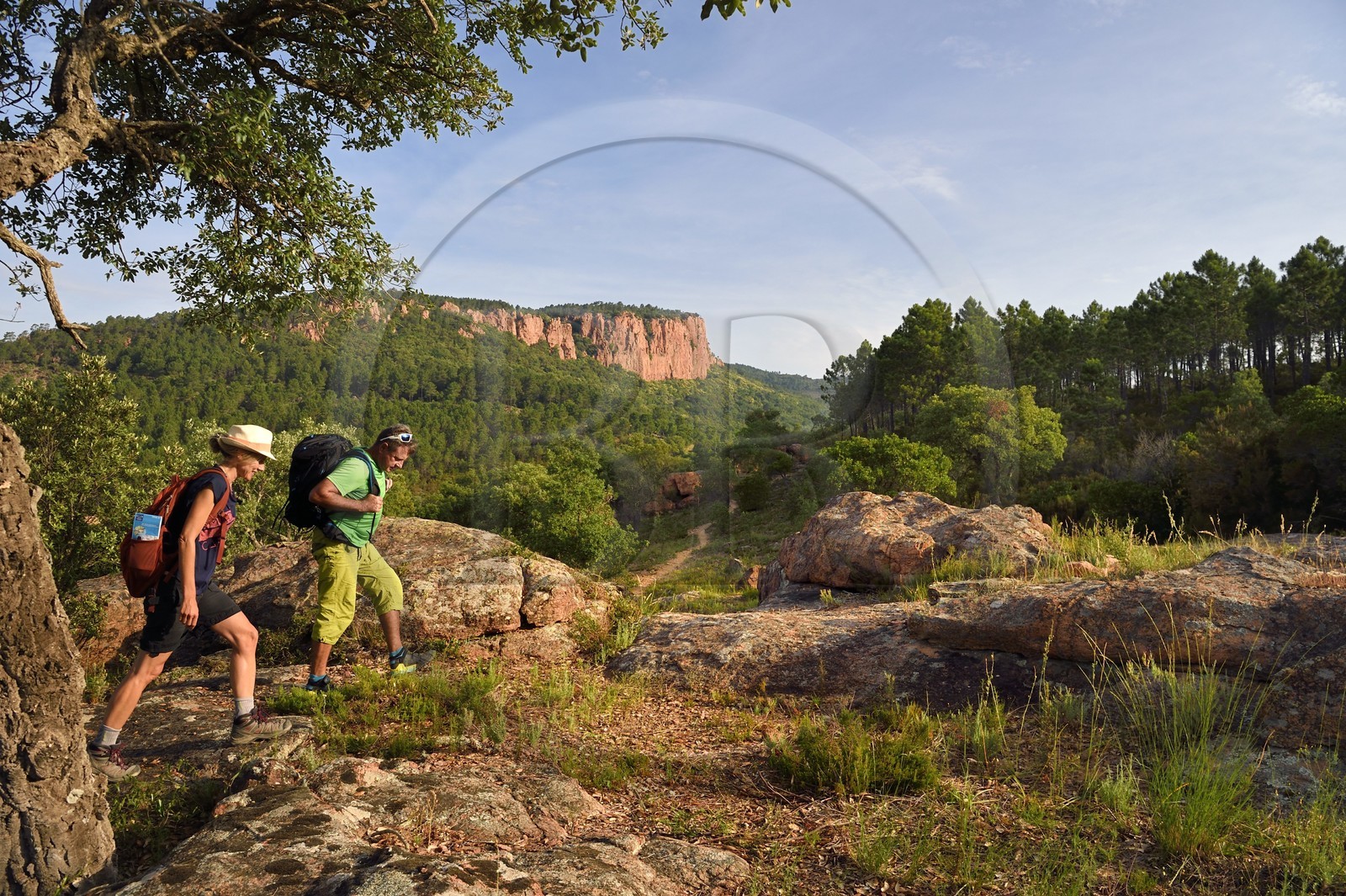 France, Var (83), entre Bagnols-en-Forêt et Roquebrune-sur-Argens, randonnée dans les Gorges du Blavet avec le guide accompagnateur Eric Gorlet