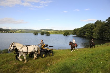 France, Nièvre (58), lac de Pannecière, Alain Perruchot agriculteur et éleveur de chevaux au commande de son attelage