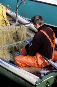 France, Haute-Savoie (74), Thonon-les-Bains, retour de pêche