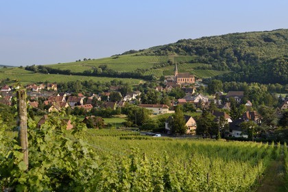 France, Bas-Rhin (67), Route des Vins d'Alsace, Andlau, la chapelle Saint-André et le vignoble