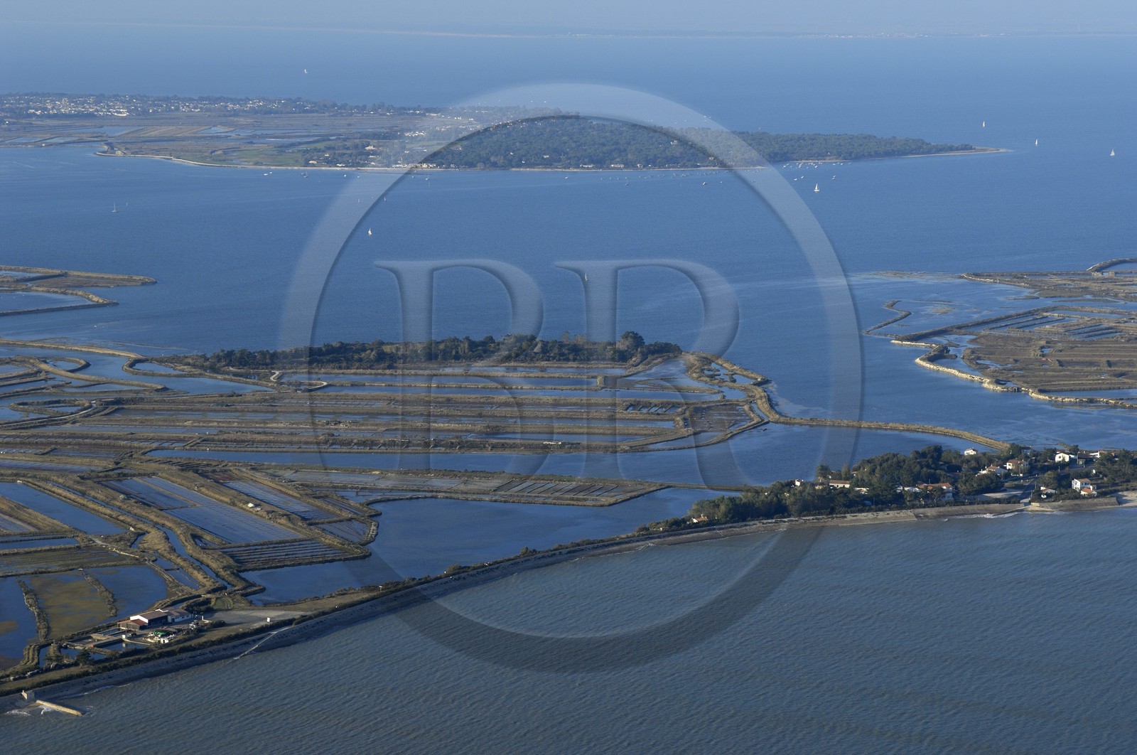 France, Charente-Maritime (17), ile de Ré, le Fier d'Ars et marais salants (vue aérienne)