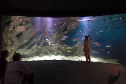 France, Charente-Maritime (17), La Rochelle, l'Aquarium