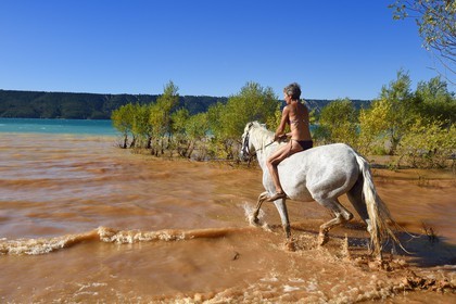 France, Var (83), Parc Naturel Régional du Verdon, lac de Sainte Croix, randonnée équestre avec Verdon Equitation