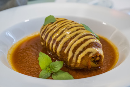 France, Hérault (34), Montpellier, quartier Richter, les rives du Lez, immeuble L'Arbre Blanc de l'architecte japonais Sou Foujimoto, restaurant l'Arbre, encornet farci