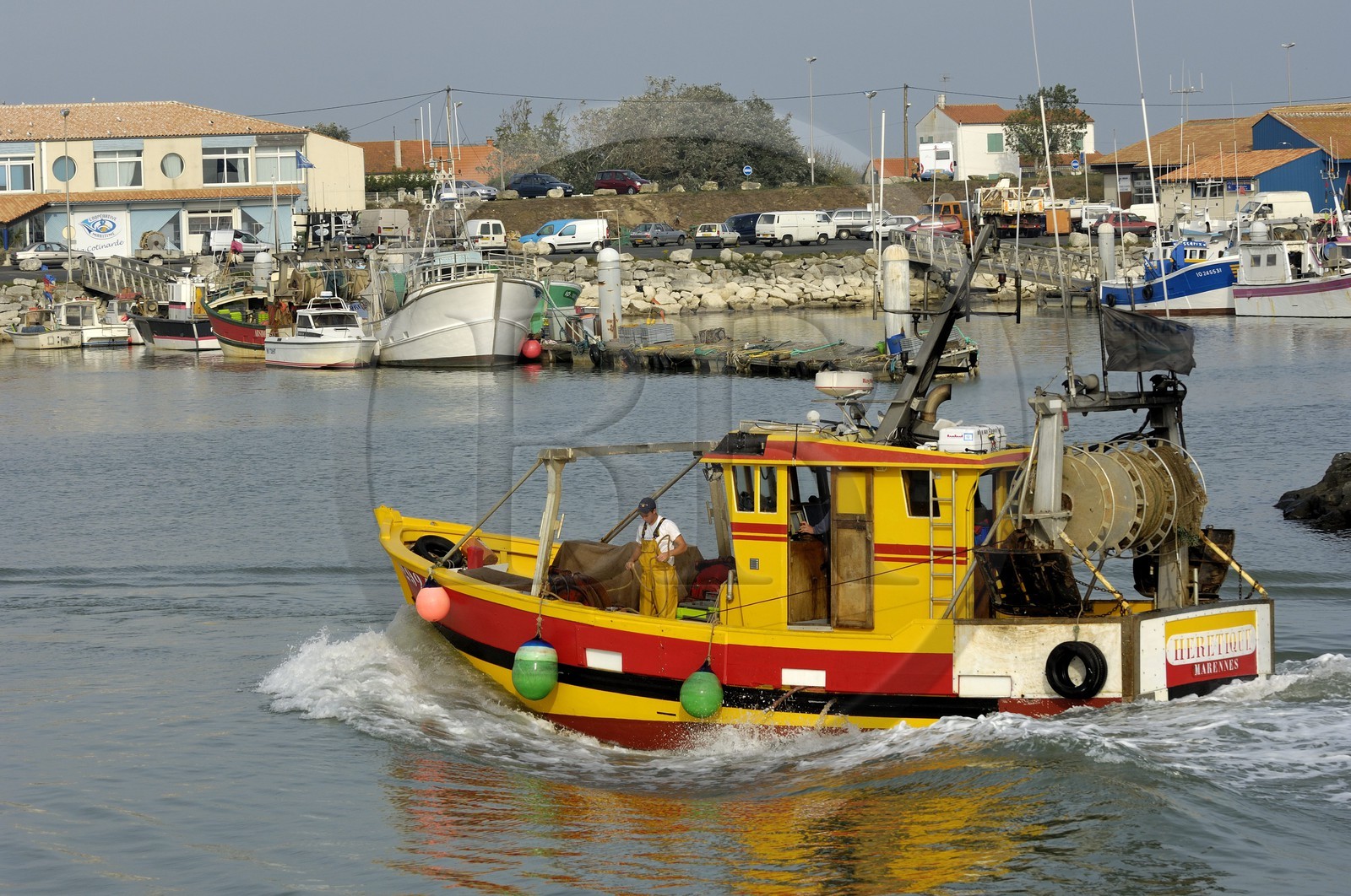 France, Charente-Maritime (17), Ile d'Oléron, retour de pêche au port de la Cotinière