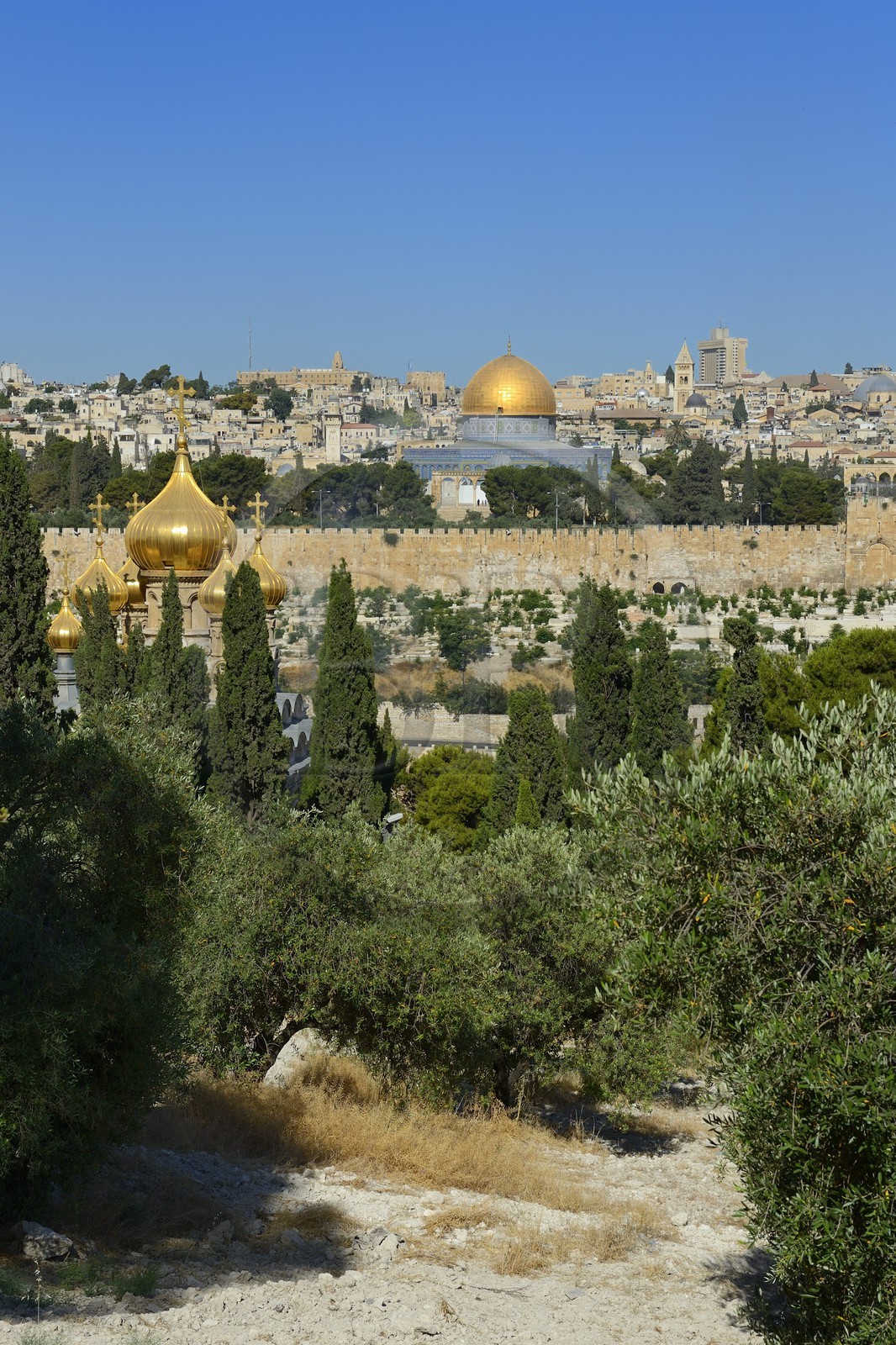 Israel, Jérusalem, ville sainte, vieille-ville classée Patrimoine Mondial de l'UNESCO, le Dôme du Rocher sur l'esplanade des Mosquées (Haram el-Sharif) et l'église orthodoxe russe Sainte-Marie-Madeleine sur les pentes du Mont des Oliviers