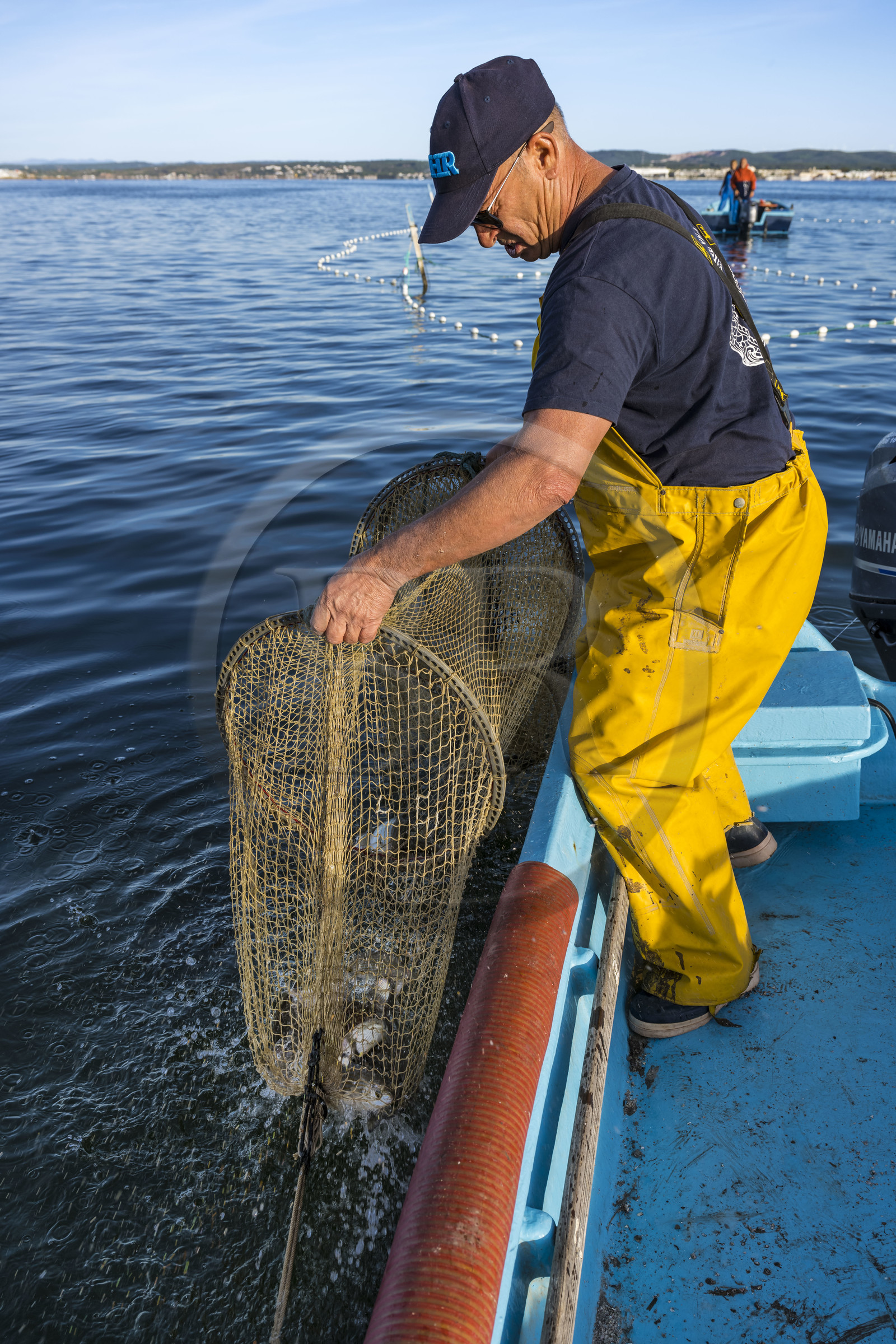 France, Herault, Sete, la Pointe Courte district, the fisherman Robert Rumeau lifts his nets on the Etang de Thau