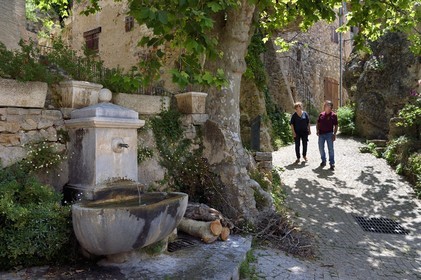 France, Var, the Dracenie, village de Tourtour, labelled Les Plus Beaux Villages de France (The Most Beautiful Villages of France), fountain
