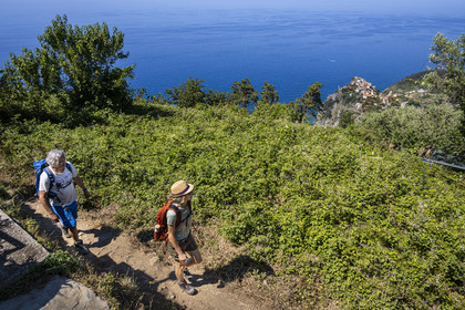 Italie, Ligurie, Cinque Terre, parc national des Cinque Terre classé Patrimoine Mondial de l'UNESCO, randonneurs montant sur le sentier GR 586 entre Corniglia et Volastra au dessus de Manarola, le village de  Corniglia en arrière plan