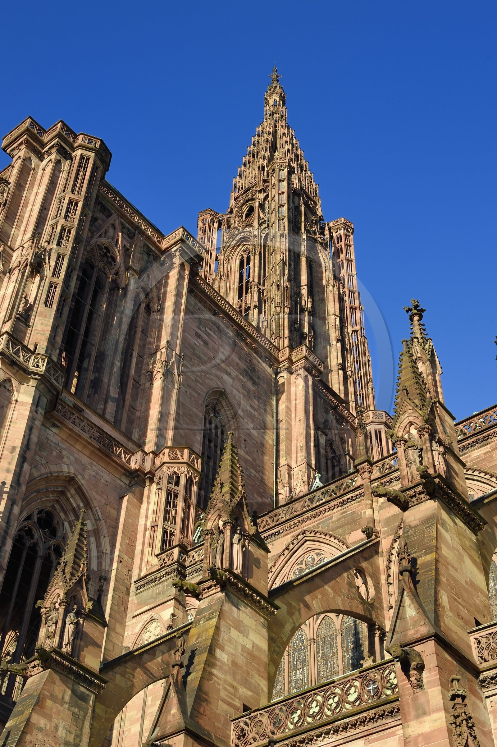 France, Bas-Rhin (67), Strasbourg, vieille ville classée au Patrimoine Mondial de l'UNESCO, la cathédrale Notre-Dame, arcs-boutants de la facade sud