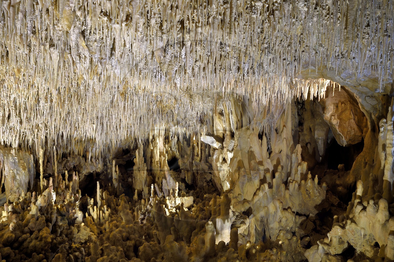 France, Dordogne, Perigord Vert, Villars, Villars Cave, concrétions dans les grottes