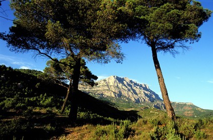 France, Bouches-du-Rhône (13), la montagne Sainte-Victoire