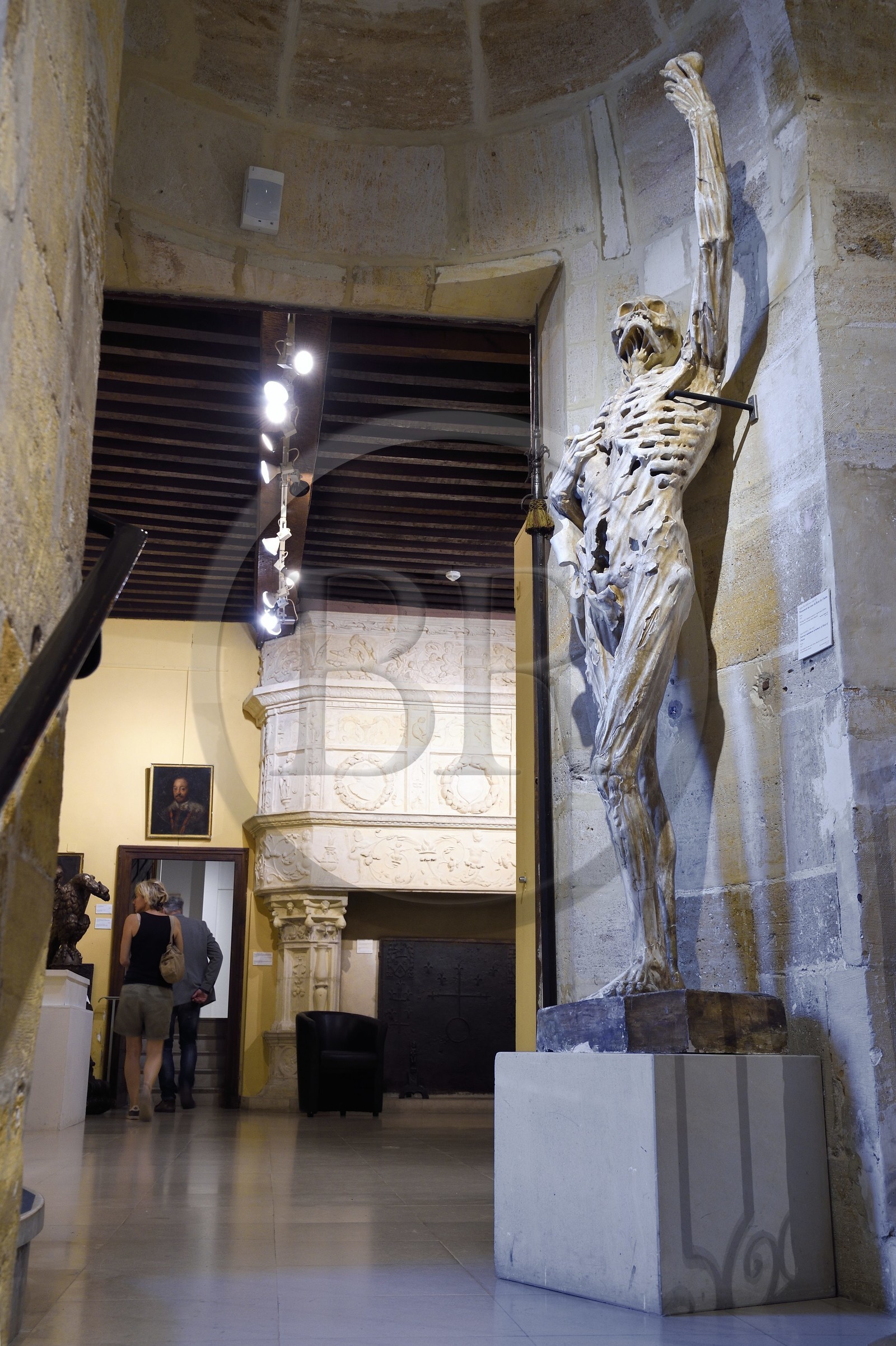 France, Meuse (55), Bar-le-Duc, Chateau des ducs de Bar abritant le Musée barrois avec un moulage du Squelette par le sculpteur Ligier Richier (XVIème siècle)