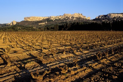 France, Bouches-du-Rhône (13), Les Baux-de-Provence, labellisé Les Plus Beaux Villages de France, et vignes en hivers dans la vallée d' Entreconque