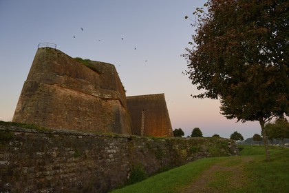 France, Moselle (57), parc régional des Vosges du nord, Bitche, la citadelle fortifiée par Vauban