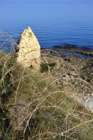 France, Calvados (14), Cricqueville-en-Bessin, barbelés du blockhaus de la Pointe du Hoc