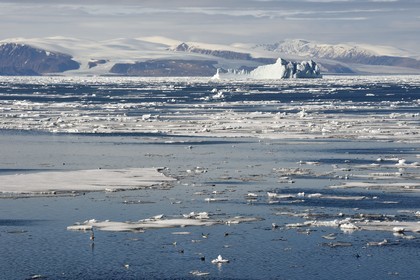 Groenland, cote Nord-Ouest, Smith sound au nord de la baie de Baffin, morceaux de glace de la banquise arctique et iceberg géant en arrière plan vers la côte canadienne de l'ile d'Ellesmere