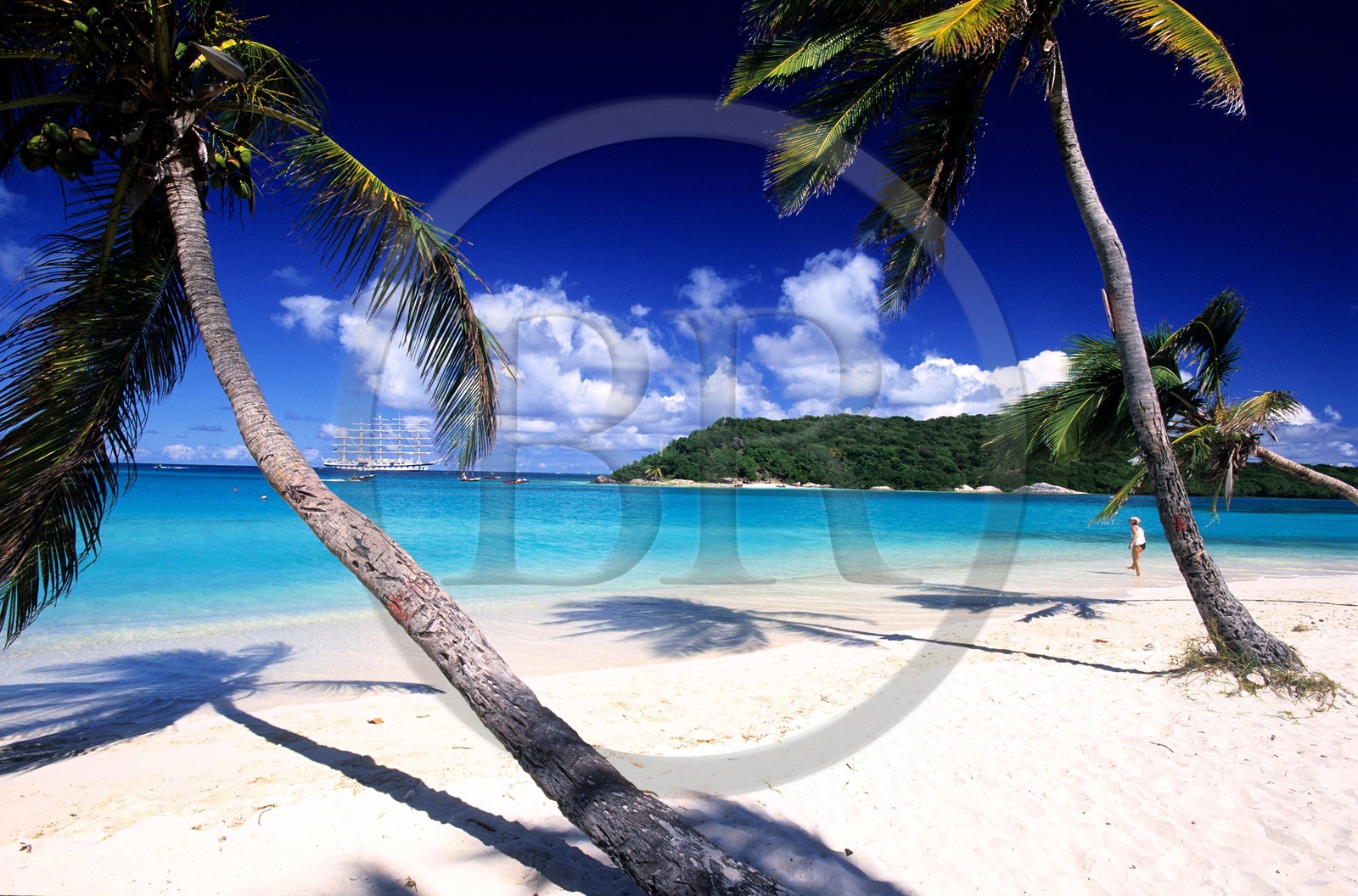 Caraïbes, Saint-Vincent et les Grenadines, archipel des Tobago Cays, plage d'une petite île inhabitée