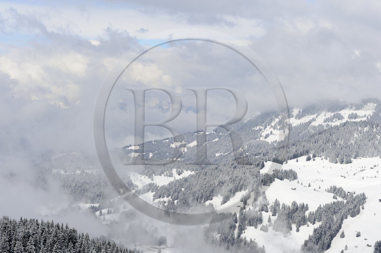 Suisse, Canton de Vaud, Domaine skiable de Villars sur Ollon - Gryon