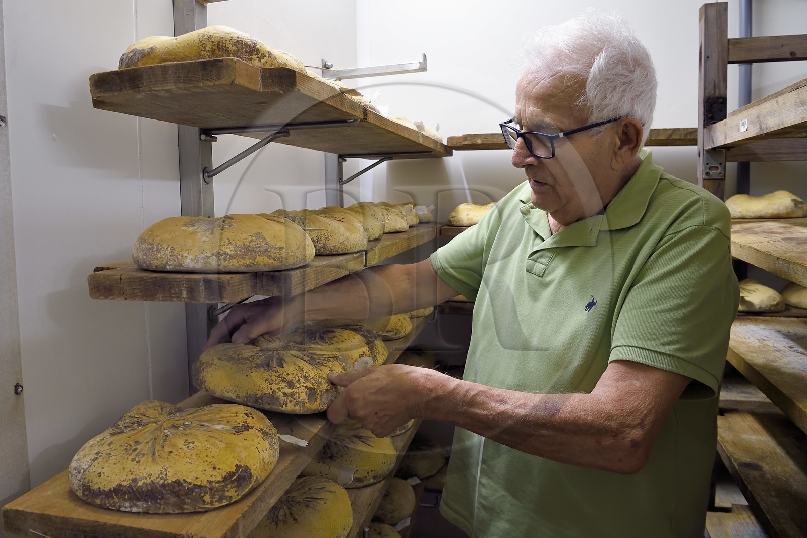 France, Var (83), La Dracénie, village de Châteaudouble, ferme fromagère La Pastourelle,  la fromagerie, affinage du fromage Le Chèvrefleur