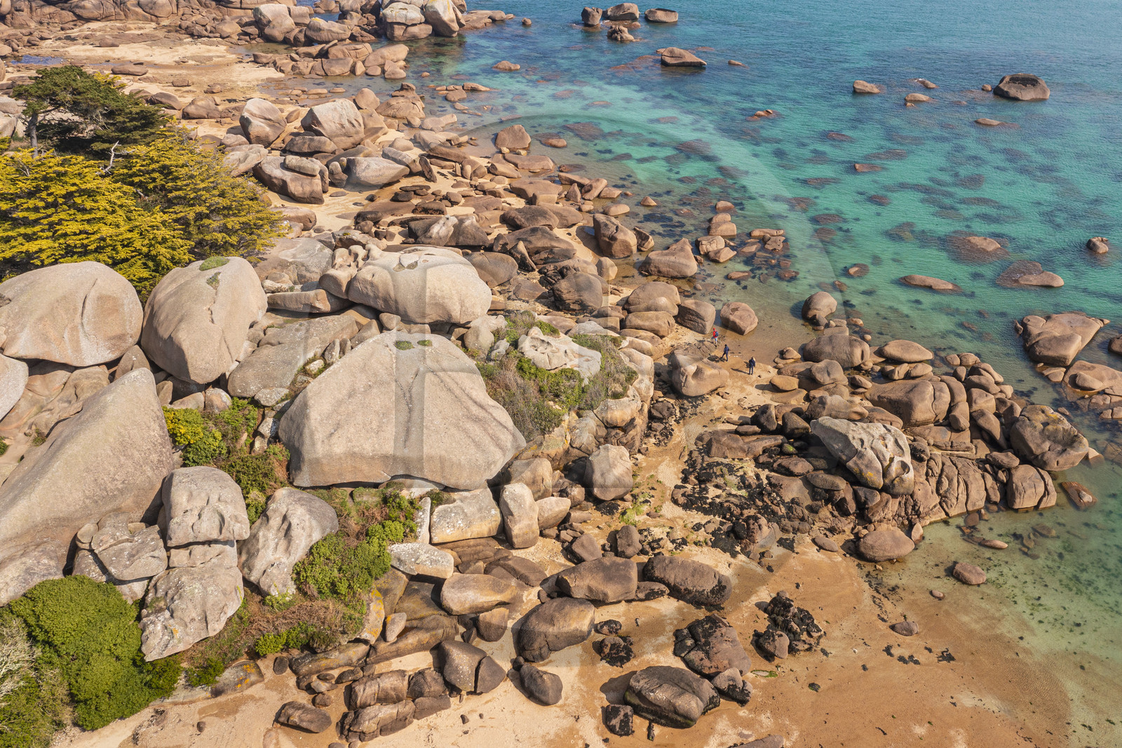 France, Côtes-d'Armor (22), Côte de Granit Rose, Trégastel, Ile Renote, le chaos granitique émerge de la plage à marée basse (vue aérienne)