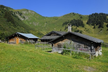 Suisse, Canton de Vaud, Villars sur Ollon, hameau de Bretaye