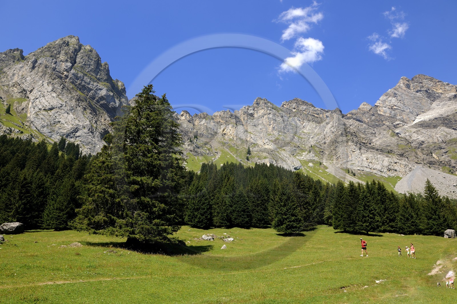 Suisse, canton de Vaud, Villars-sur-Ollon, vallée de Solalex dans le Parc naturel des Muverans