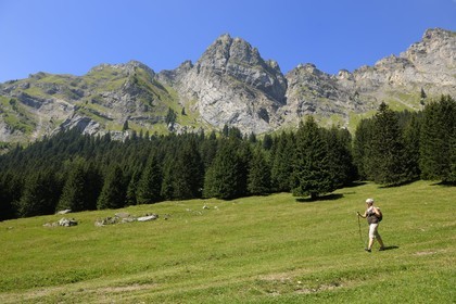 Suisse, canton de Vaud, Villars-sur-Ollon, vallée de Solalex dans le Parc naturel des Muverans