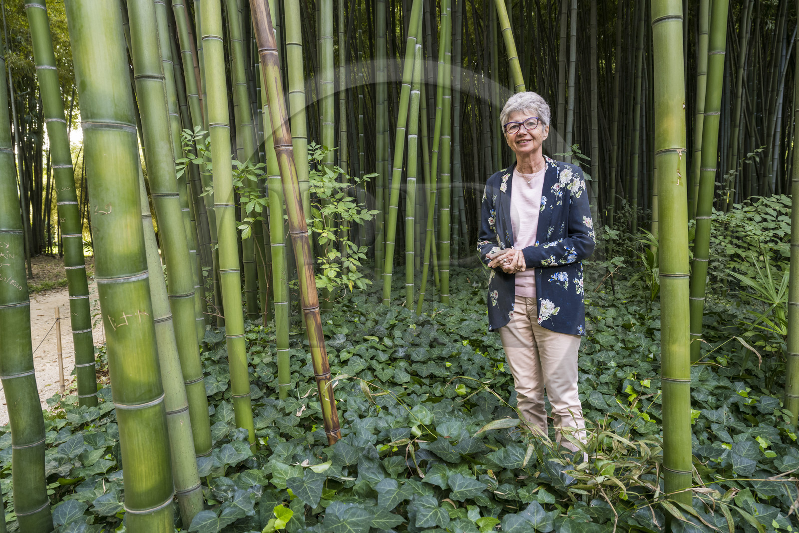 France, Gard (30), Générargues vers Anduze, Bambouseraie en Cévennes, la présidente et directrice Muriel Nègre