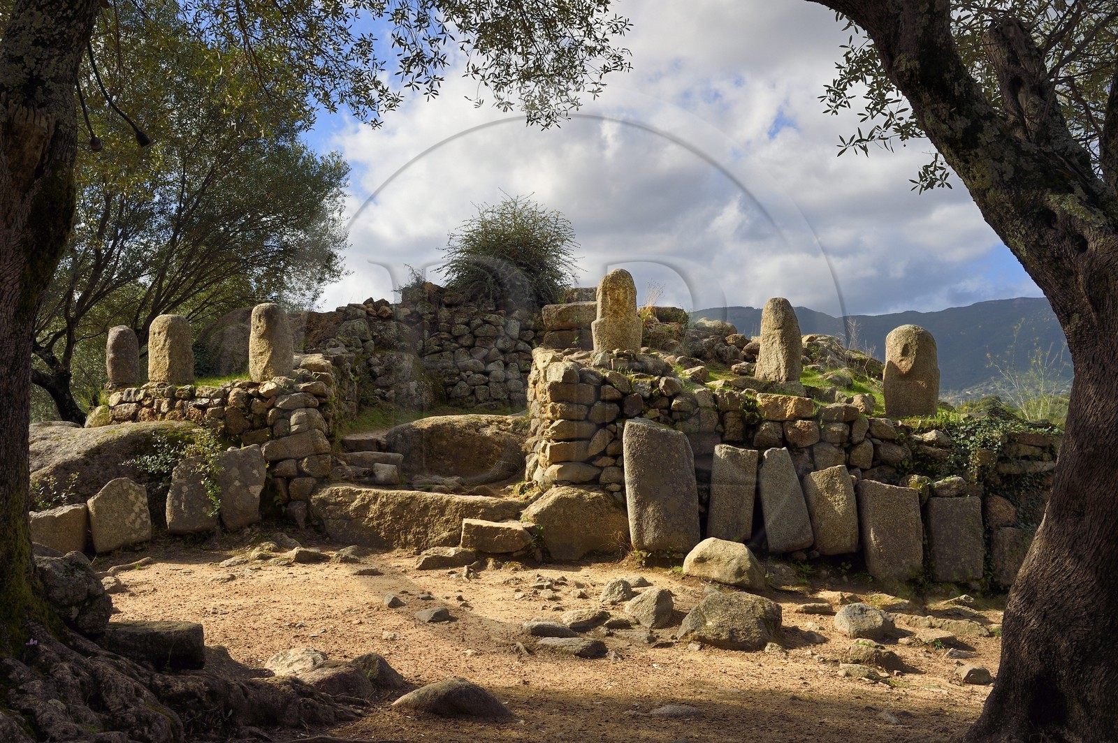 France, Corse-du-Sud (2A), site préhistorique de Filitosa, statues menhirs autour de l'oppidum