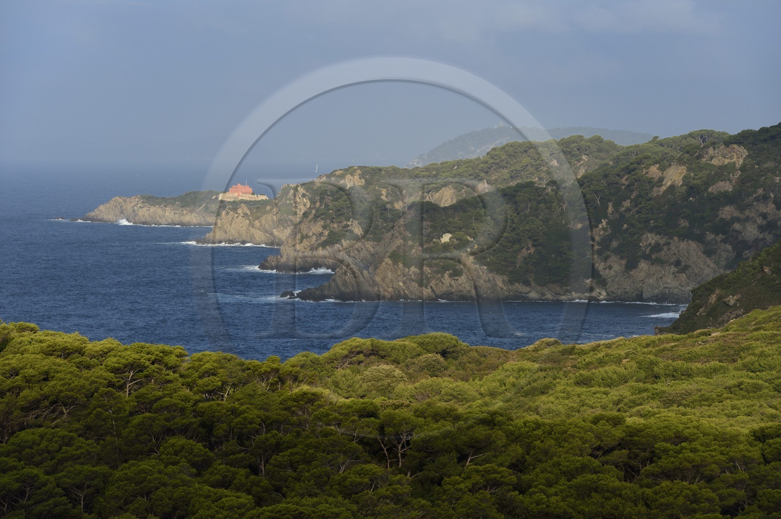 France, Var (83), Iles d'Hyères, parc national de Port Cros, Ile de Porquerolles, la côte Sud-Ouest vers la Gorge du Loup et le Fort du Grand Langoustier en arrière plan