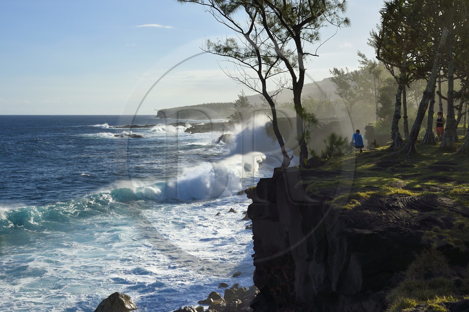 France, Ile de la Reunion, Côte Sud, Sainte-Philippe, la côte sud sauvage au Baril
