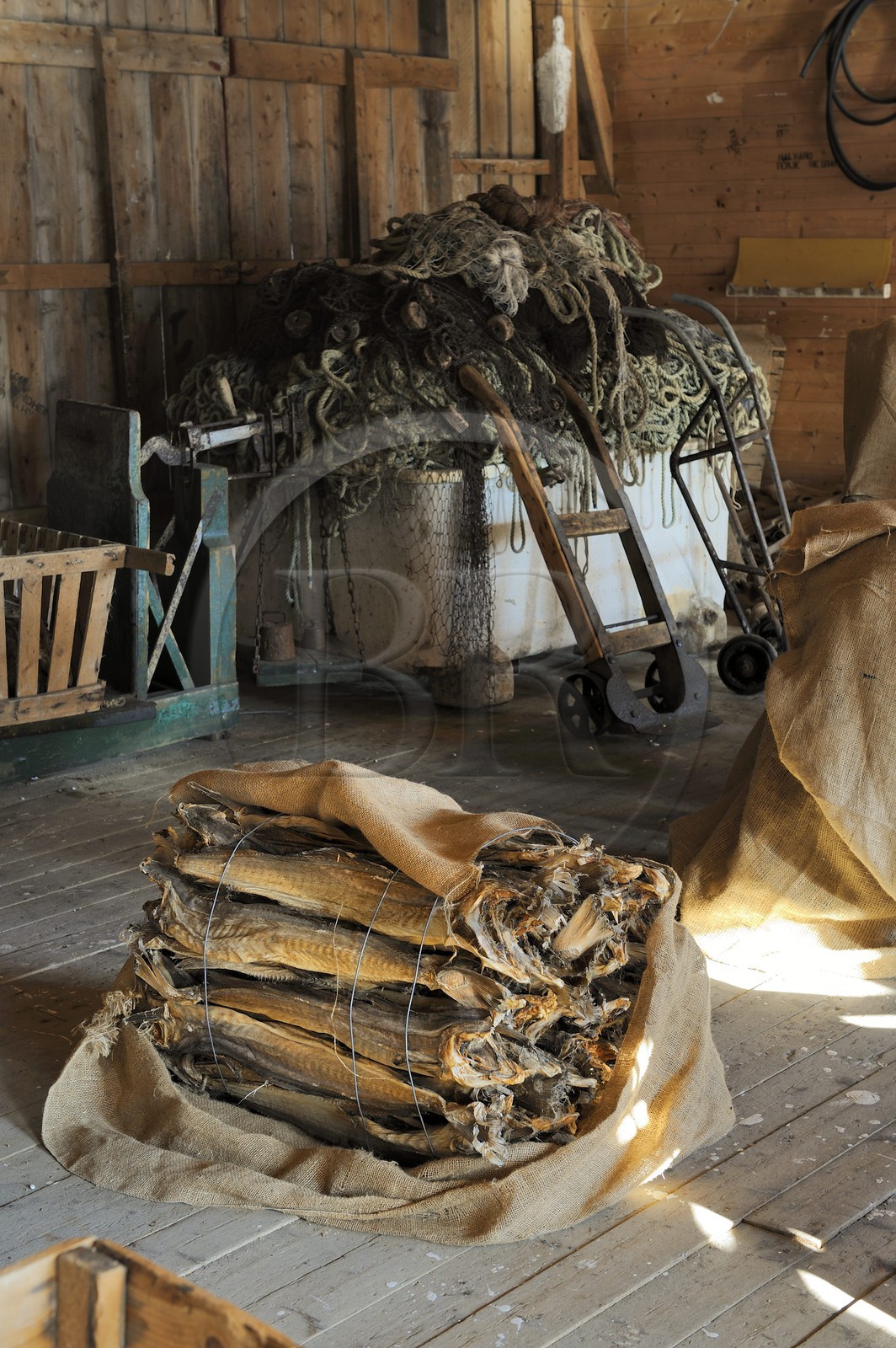 Norvège, Nordland, Iles Lofoten, commune de A (Å) à l'extrémité de Moskenesoy, musée de la pêche, ancienne salle de transformation de la morue