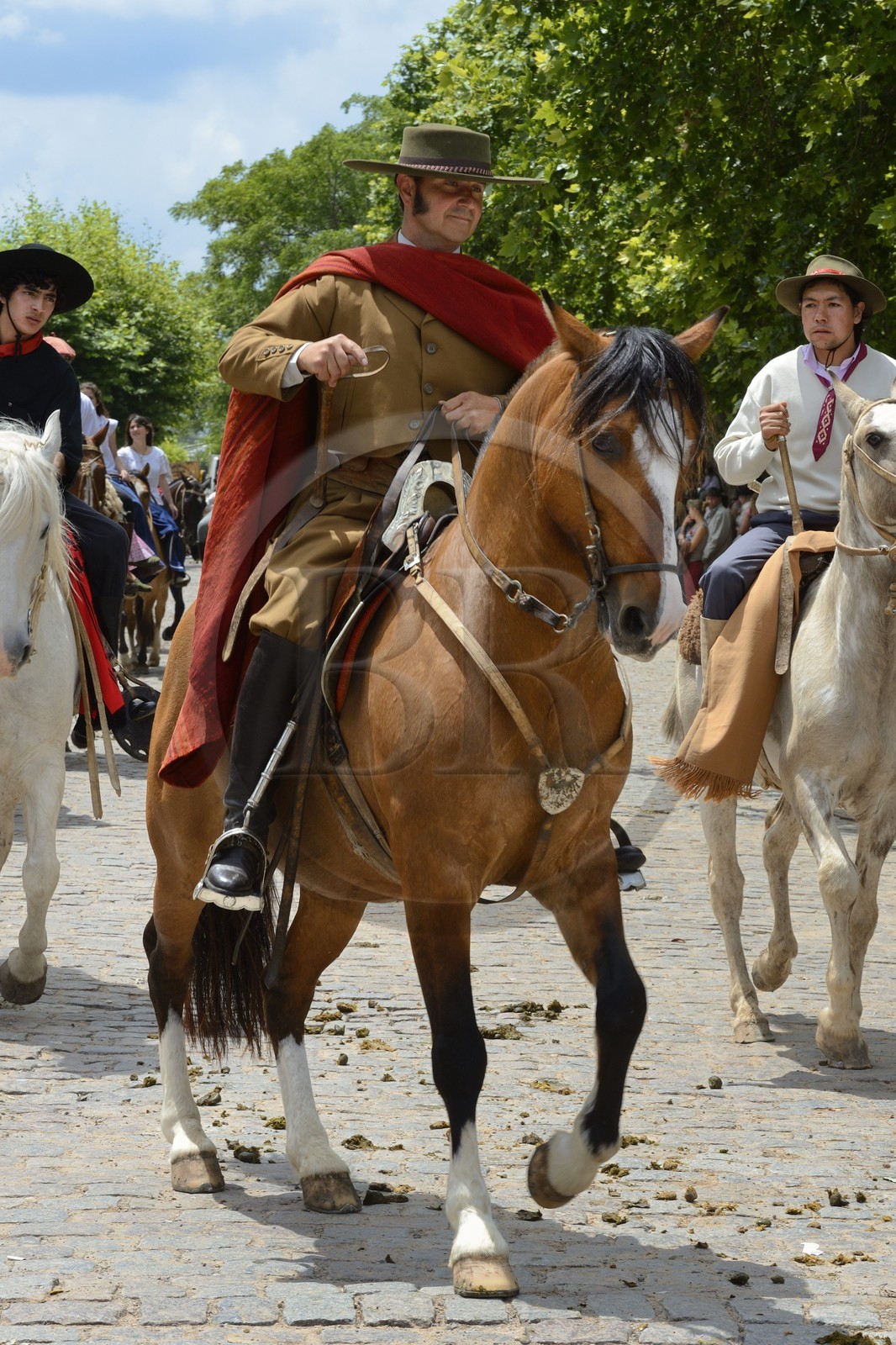 Argentina, Buenos Aires Province, San Antonio de Areco, Tradition Day festival (Dia de Tradicion), gaucho on horseback in traditional dress during the parade, estanciero (gaucho who owns a ranch)