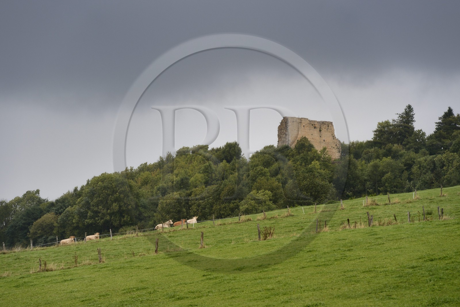 France, Meurthe-et-Moselle, Saintois region, colline de Sion-Vaudemont (hill of Sion), vestiges of the dungeon also called the Tower of Brunehault at Vaudemont