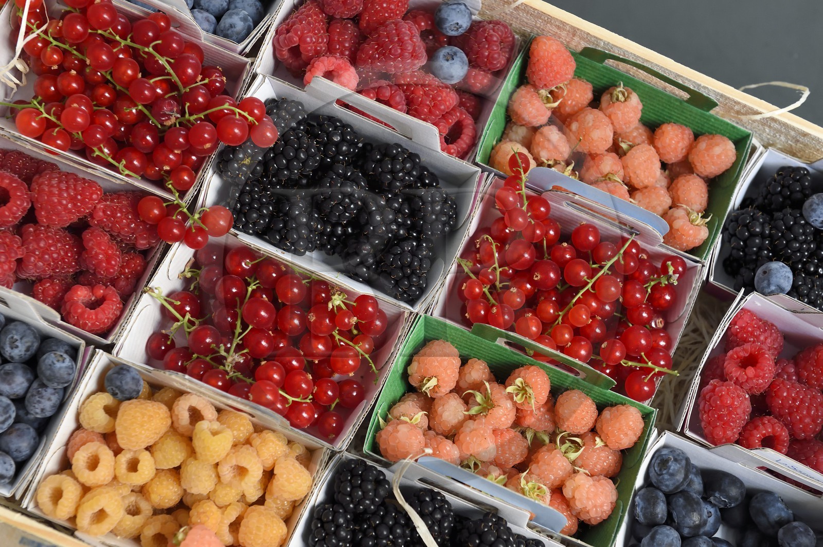 France, Alpes-Maritimes (06), Antibes, paniers de fruits rouges