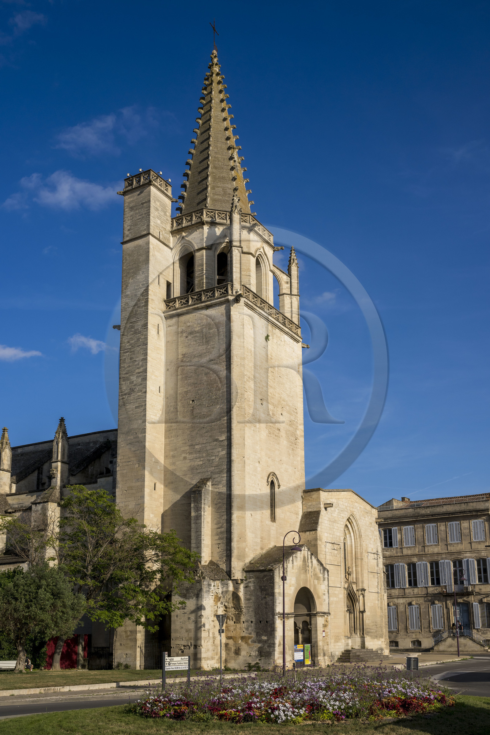 France, Bouches-du-Rhône (13), Tarascon, la collégiale royale Sainte-Marthe érigée aux XIe et XIIe siècles