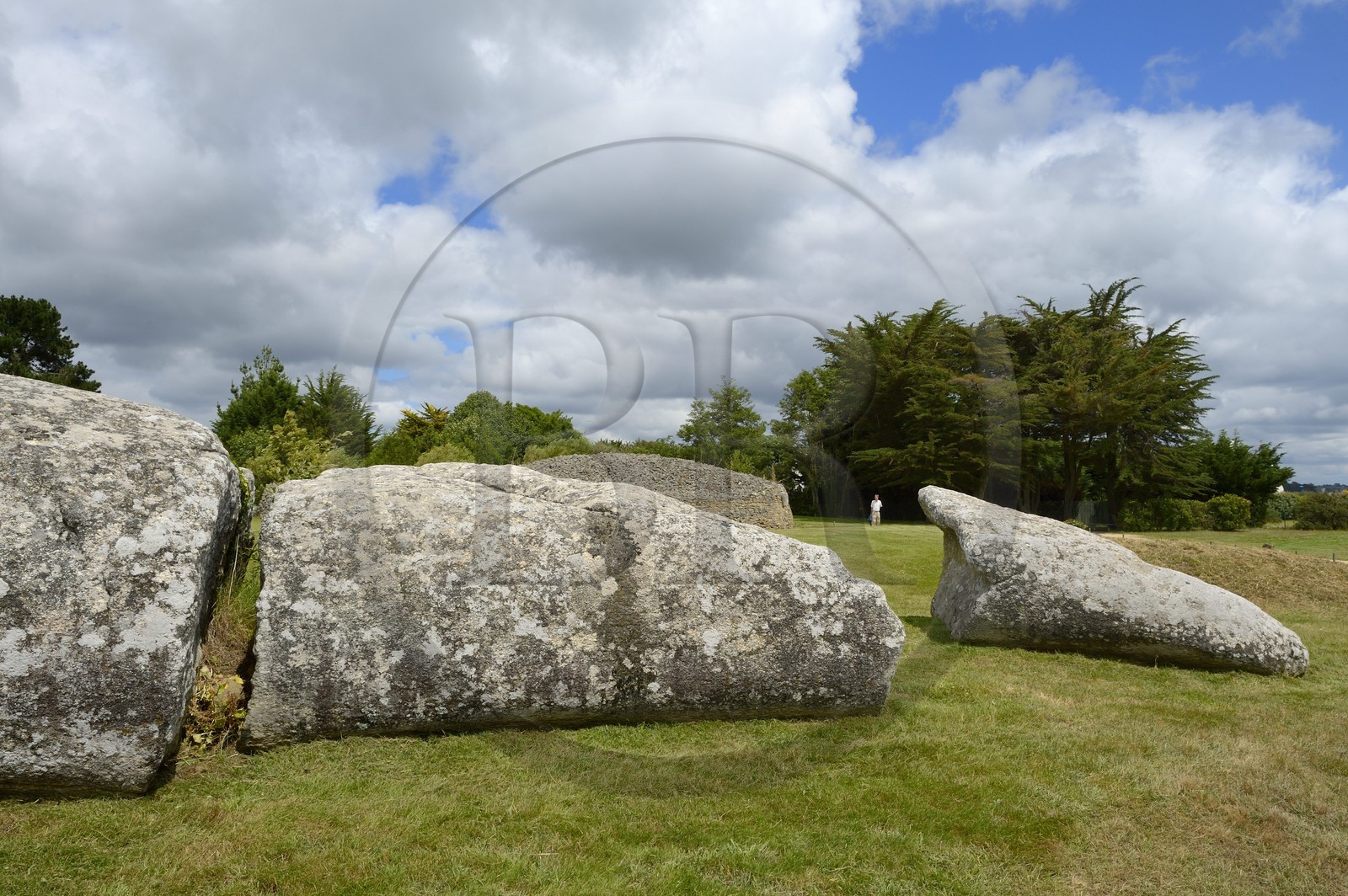 France, Morbihan (56), Golfe du Morbihan, Locmariaquer, le grand menhir brisé d'Er Grah