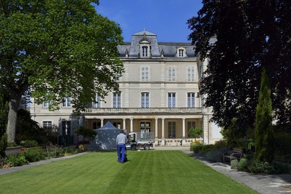 France, Charente-Maritime (17), La Rochelle, le Muséum d'histoire naturelle (muséum Lafaille) installé dans l'ancien palais du gouverneur d'Aunis
