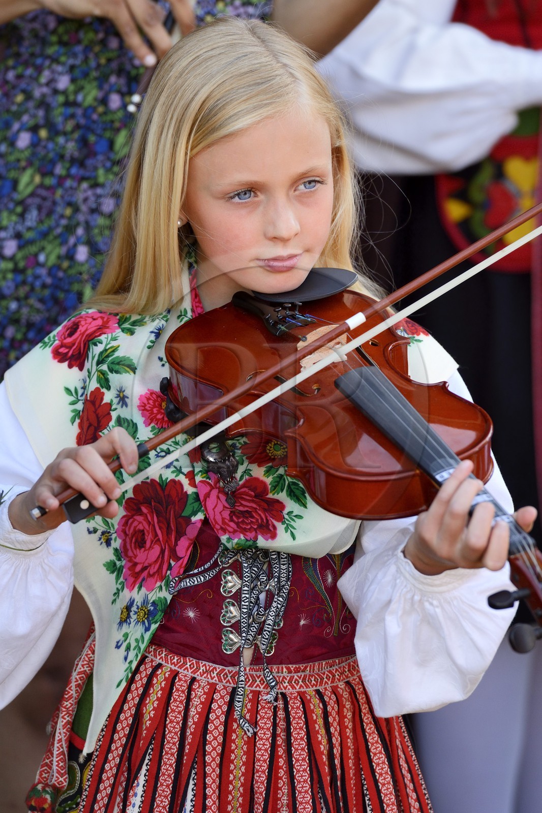 Sweden, Dalarna County, Leksand area, Midsummer celebrations in the tiny hamlet of Hjulbäck, girl in traditional dress playing the violin