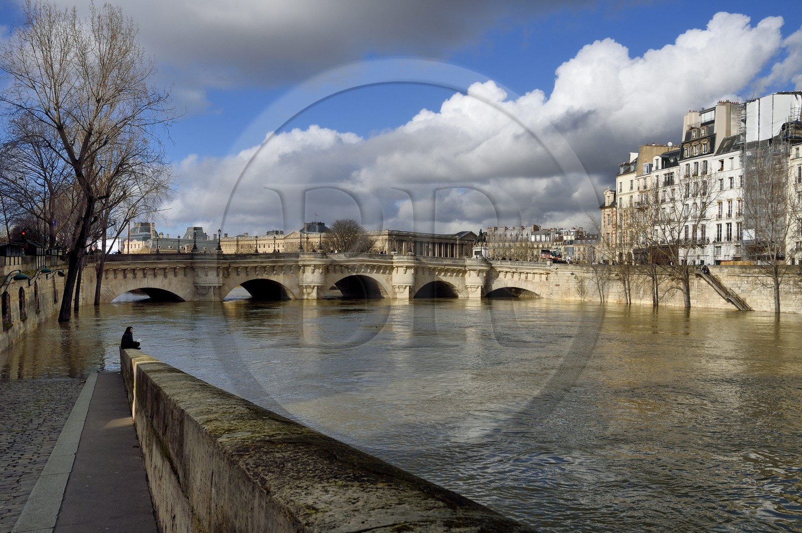 France, Paris, area listed as World Heritage by UNESCO, the flood of the Seine of January 2018, Pont Neuf and Seine river